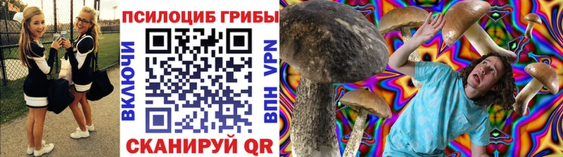 Купить закладки  Грозный  Псилоцибиновые грибы Cubensis 